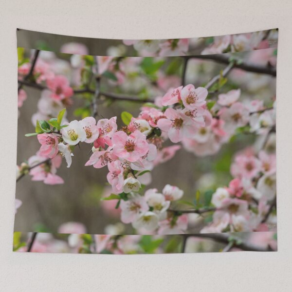 Item preview, Pink Flowering Quince Blooms designed and sold by mljdwhite.