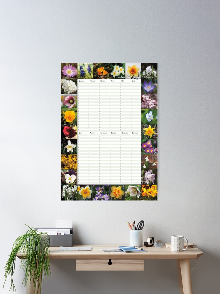 Thumbnail 1 of 3, Poster, Spring Flowers - Perpetual Birthday Calendar Poster designed and sold by iConnection.