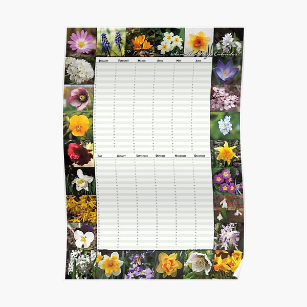Spring Flowers - Perpetual Birthday Calendar Poster Poster