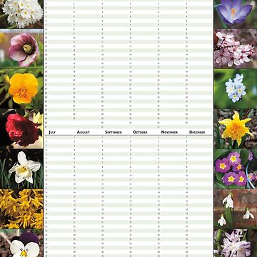 Artwork thumbnail, Spring Flowers - Perpetual Birthday Calendar Poster by iConnection