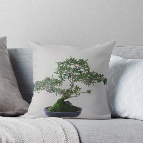 Item preview, Bonsai tree Wild olive 37 year old  designed and sold by NJH110.
