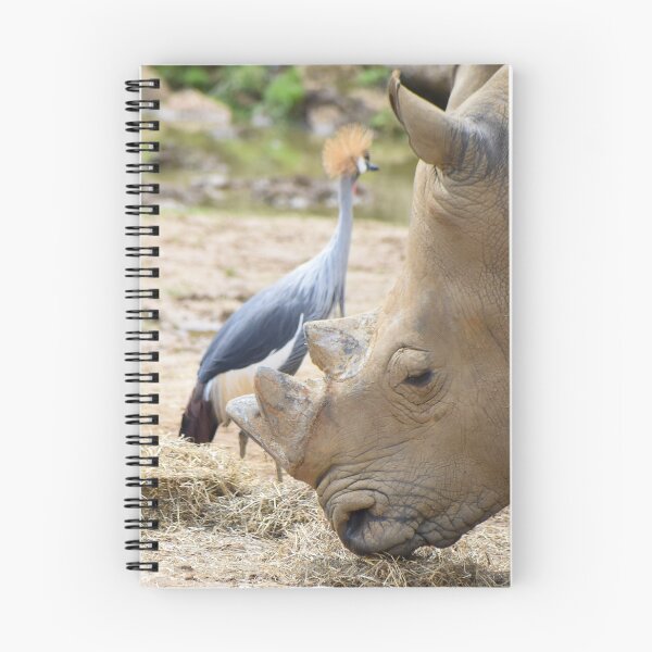 Item preview, Snacking rhino designed and sold by cdkphotos.