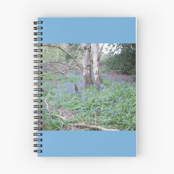Item preview, St Leonard's Forest Bluebell Path - Photo 1 - April 2016 designed and sold by Julia Woodman.