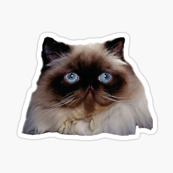 Item preview, Himalayan Cat  designed and sold by Erika Kaiseršot.