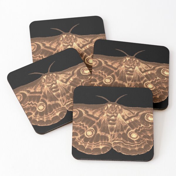 Item preview, Bright Realistic Moth [Brown] designed and sold by Kewy.