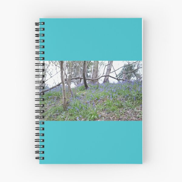 Item preview, St Leonard's Forest Bluebells - Photo 4 - April 2016 designed and sold by Julia Woodman.