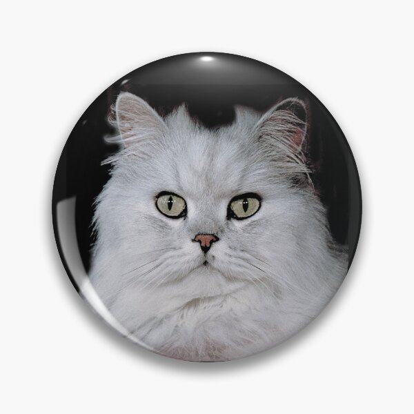 Item preview, r2754/ 5 "  Choupette " avec le Studio Portable Okaio et 3 (bal) flahs Okaio  - Les Chats du temps de l'Argentique - Cats from the time of the film "  (h) Olavia-Olao Okaio Créations designed and sold by o.okaïo.
