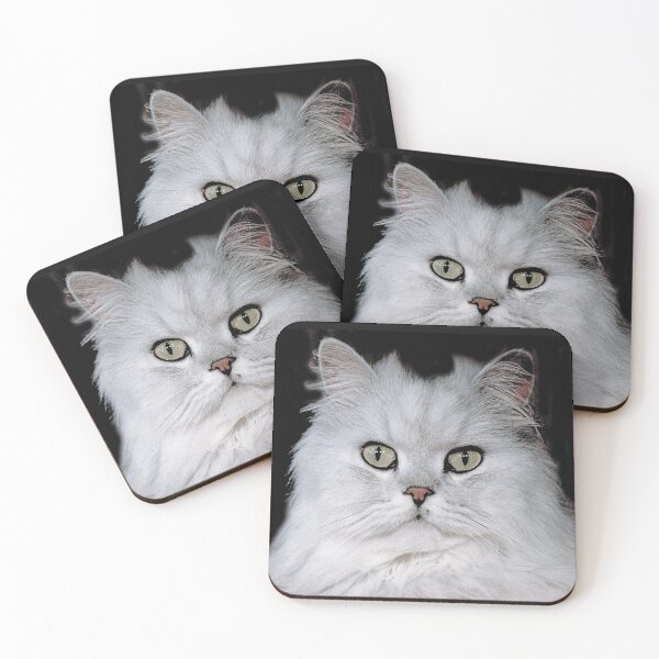 Item preview, r2754/ 5 "  Choupette " avec le Studio Portable Okaio et 3 (bal) flahs Okaio  - Les Chats du temps de l'Argentique - Cats from the time of the film "  (h) Olavia-Olao Okaio Créations designed and sold by o.okaïo.