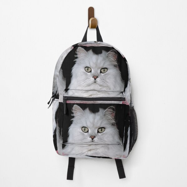 Item preview, r2754/ 5 "  Choupette " avec le Studio Portable Okaio et 3 (bal) flahs Okaio  - Les Chats du temps de l'Argentique - Cats from the time of the film "  (h) Olavia-Olao Okaio Créations designed and sold by o.okaïo.
