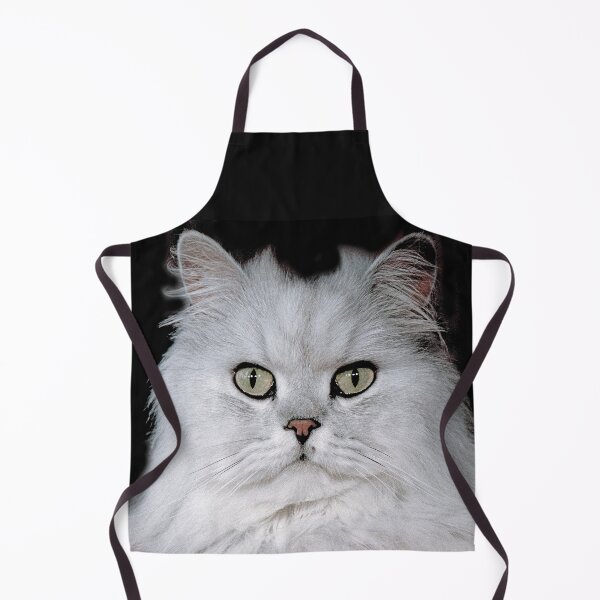 Item preview, r2754/ 5 " Choupette " avec le Studio Portable Okaio et 3 (bal) flahs Okaio - Les Chats du temps de l'Argentique - Cats from the time of the film " (h) Olavia-Olao Okaio Créations designed and sold by o.okaïo.