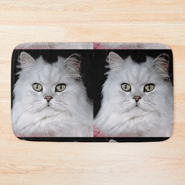 Item preview, r2754/ 5 "  Choupette " avec le Studio Portable Okaio et 3 (bal) flahs Okaio  - Les Chats du temps de l'Argentique - Cats from the time of the film "  (h) Olavia-Olao Okaio Créations designed and sold by o.okaïo.