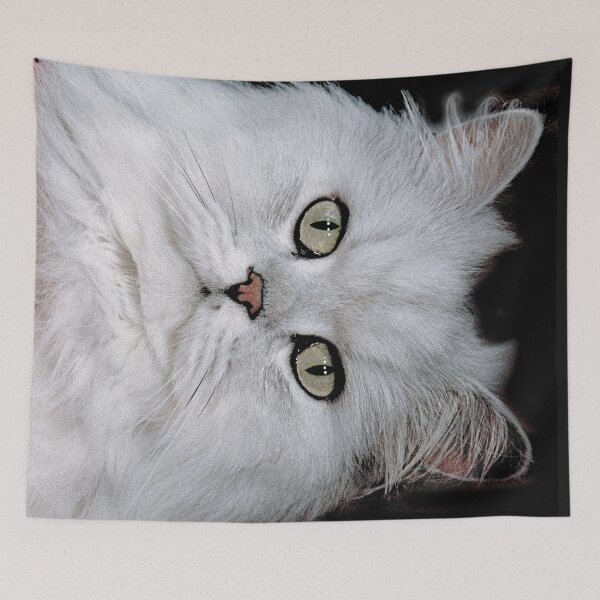 Item preview, r2754/ 5 "  Choupette " avec le Studio Portable Okaio et 3 (bal) flahs Okaio  - Les Chats du temps de l'Argentique - Cats from the time of the film "  (h) Olavia-Olao Okaio Créations designed and sold by o.okaïo.