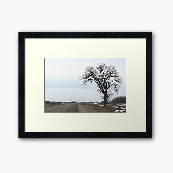 The Half Way Tree (between Winnipeg & Brandon MB) Framed Art Print