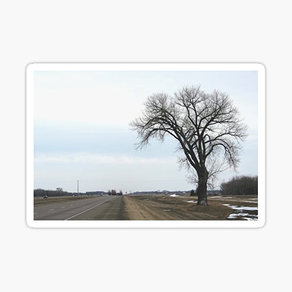 Item preview, The Half Way Tree (between Winnipeg & Brandon MB) designed and sold by stephenralph.