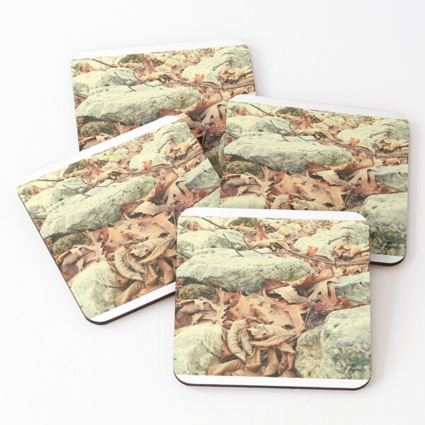 Item preview, Stones and Browned Leaves designed and sold by Mothe3rd.