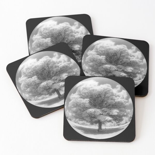 Infrared fisheye tree Coasters (Set of 4)