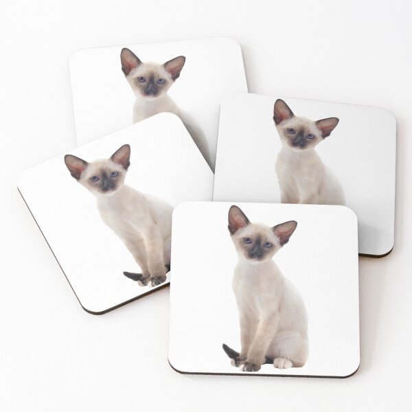 Item preview, Siamese Kitten Cat Photo designed and sold by WearItOwnIt.