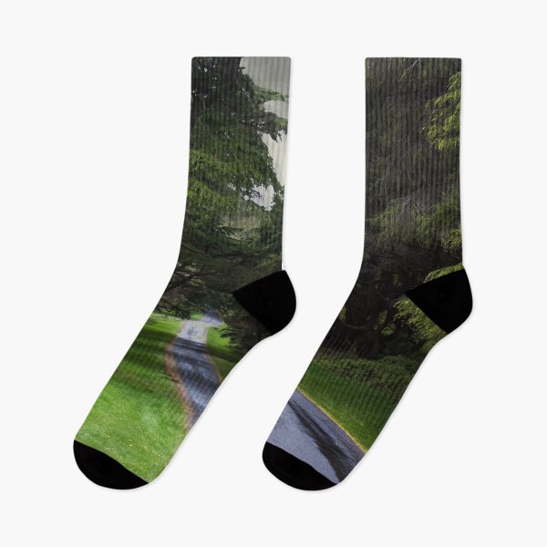 Item preview, Tollymore Forest Park designed and sold by MoonsmileProd.