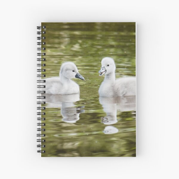 Baby Swans Spiral Notebook