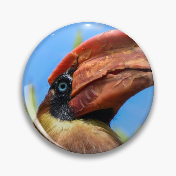 Item preview, Colourful rufous hornbill designed and sold by cdkphotos.