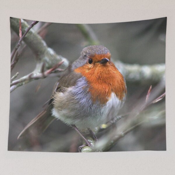 Item preview, Robin Red Breast designed and sold by MoonsmileProd.