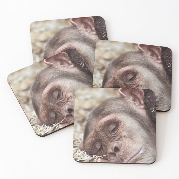Item preview, Sleeping chimpanzee designed and sold by cdkphotos.