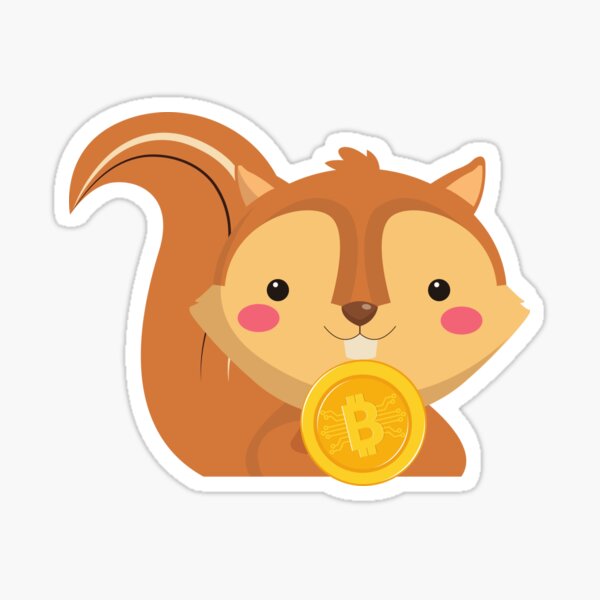 squirrel coin crypto