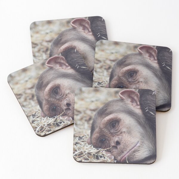 Item preview, Cute chimpanzee designed and sold by cdkphotos.