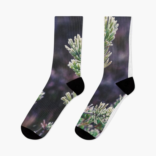 Item preview, Frost on Pine Tree Branch designed and sold by RNulle.