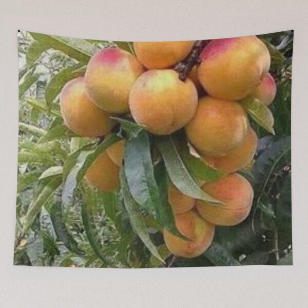 Item preview, Hermosa fruta de duraznos. designed and sold by Lan thi Nguyen.