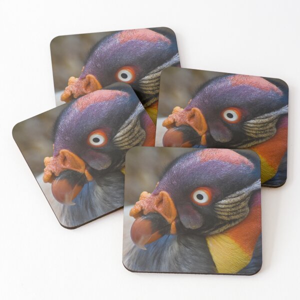 Item preview, King vulture close designed and sold by cdkphotos.