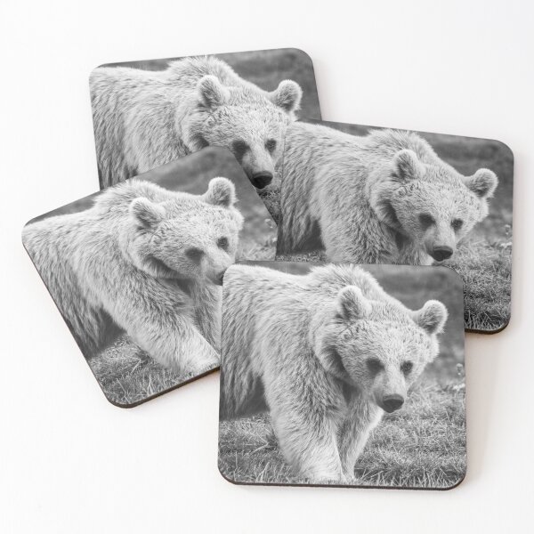 Item preview, Beautiful Syrian bear designed and sold by cdkphotos.