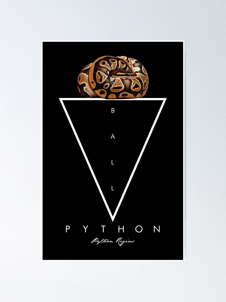 Imagen 1 de 3, Póster con la obra Ball Python Geometric Modern Snake Keeper, diseñada y vendida por JRRTs.