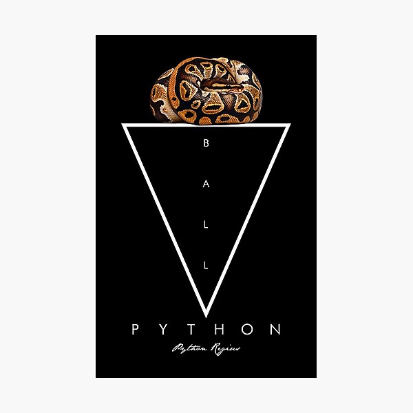 Item preview, Ball Python Geometric Modern Snake Keeper designed and sold by JRRTs.