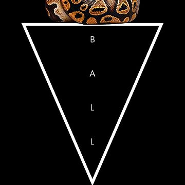 Vorschaubild zum Design Ball Python Geometric Modern Snake Keeper von JRRTs