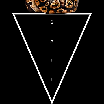 Artwork thumbnail, Ball Python Geometric Modern Snake Keeper by JRRTs