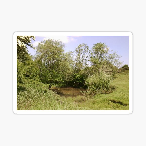 Hidden Pond Photo 1 Sticker