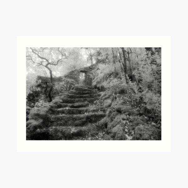 Hermitage of St John of the Desert Art Print