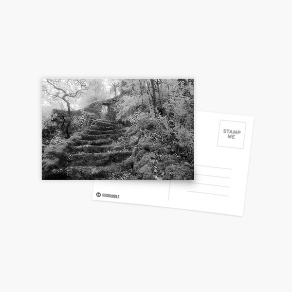 Hermitage of St John of the Desert Postcard