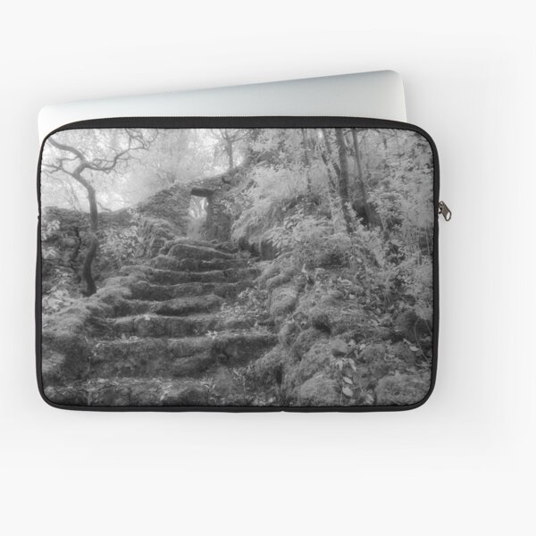 Hermitage of St John of the Desert Laptop Sleeve
