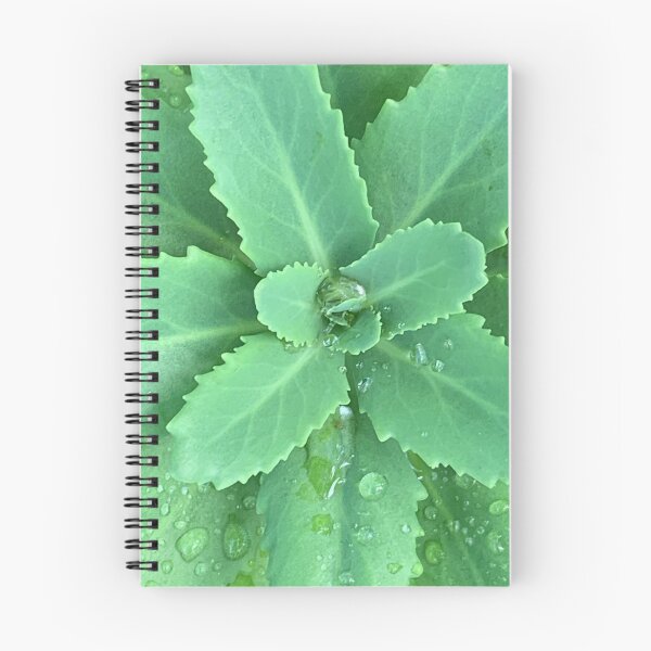 Item preview, dewdrop world designed and sold by roadwarriorart.