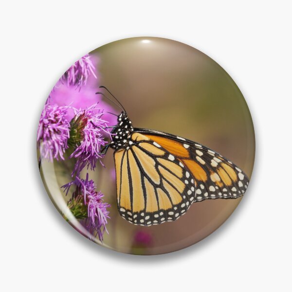 Item preview, Fall Monarch 2016-11 designed and sold by Thomasyoung.