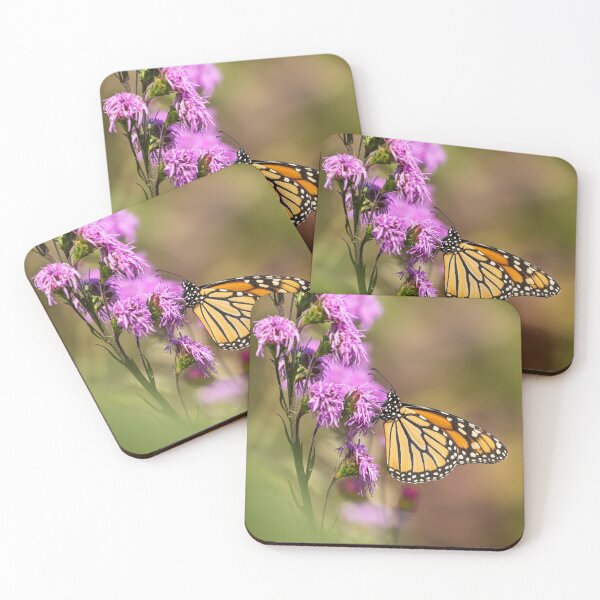 Item preview, Fall Monarch 2016-11 designed and sold by Thomasyoung.
