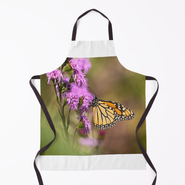Item preview, Fall Monarch 2016-11 designed and sold by Thomasyoung.