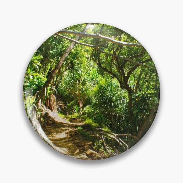 Item preview, Nā Pali - Kalalau trail, Kauaʻi HAWAII, where the Jurassic Park Movie was filmed designed and sold by Bruno Beach.