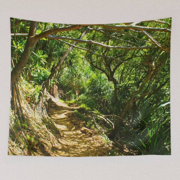 Item preview, Nā Pali - Kalalau trail, Kauaʻi HAWAII, where the Jurassic Park Movie was filmed designed and sold by Bruno Beach.