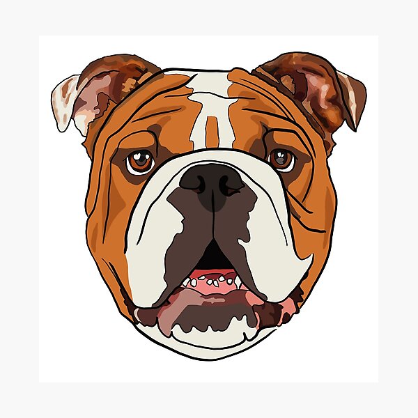 Artikel-Vorschau von Bulldogge Illustration - Hand gezeichnet, designt und verkauft von Aarondrong.
