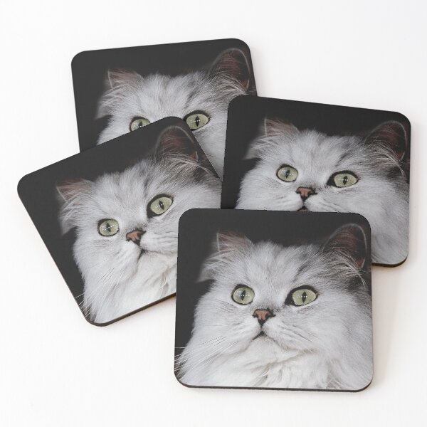 Artikelvorschau, r2755/ 6 " Choupette " avec le Studio Portable Okaio et 3 (bal) flahs Okaio - Les Chats du temps de l'Argentique - Cats from the time of the film " (h) Olavia-Olao Okaio Créations entworfen und verkauft von o.okaïo.