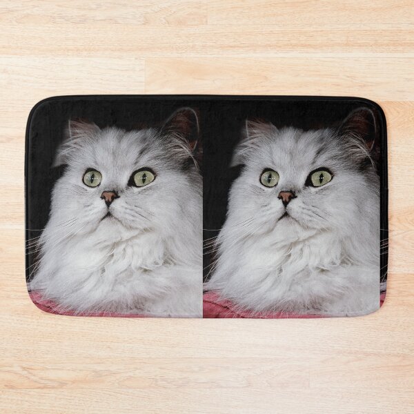 Item preview, r2755/ 6 "  Choupette " avec le Studio Portable Okaio et 3 (bal) flahs Okaio  - Les Chats du temps de l'Argentique - Cats from the time of the film "  (h) Olavia-Olao Okaio Créations designed and sold by o.okaïo.