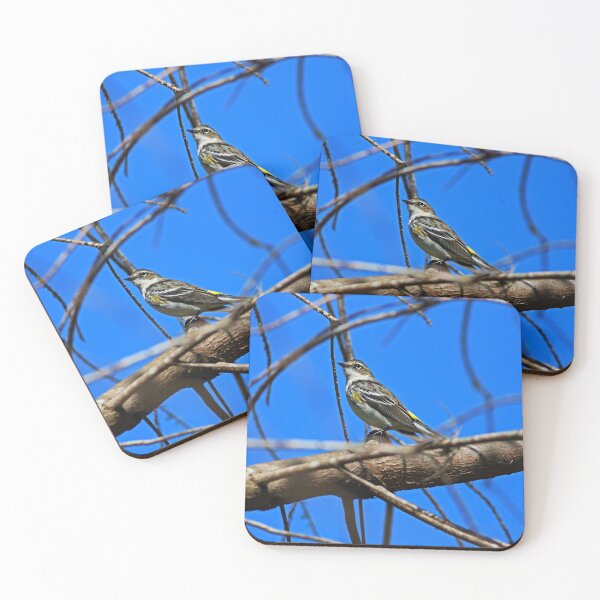 Item preview, Yellow-rumped Warbler designed and sold by Michiale.